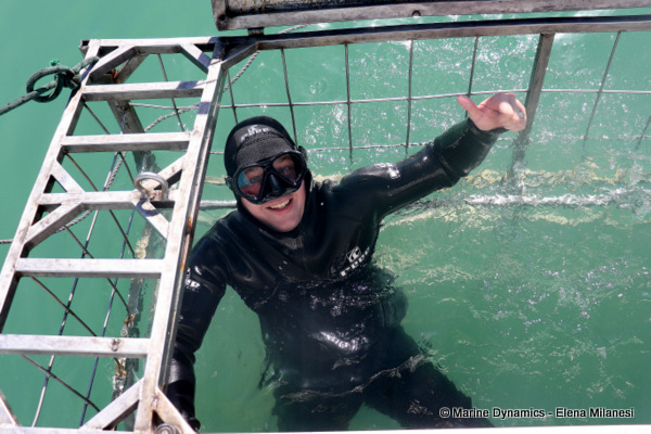Shark cage diving, South Africa 